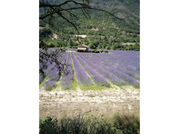 Camping in Drôme from £39 per night