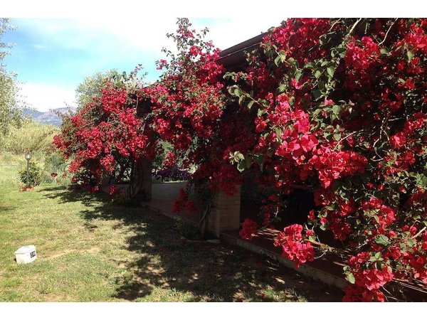 Holiday home in Girasole from £99 per night