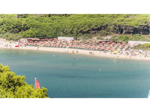 Holiday apartment in Elba from £49 per night