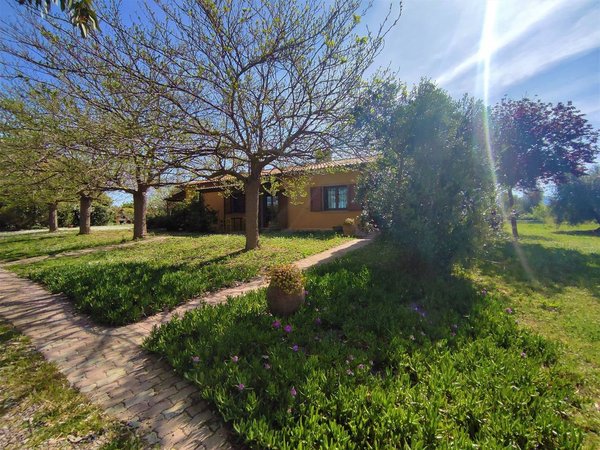 Holiday home in Tuscia from £55 per night
