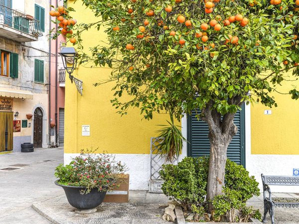 Holiday apartment in Elba from £63 per night