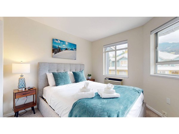 Holiday apartment in Whistler from £310 per night