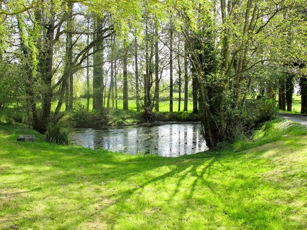 Holiday home in Manche from £48 per night