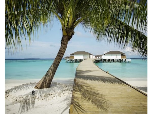 ROBINSON NOONU - All inclusive