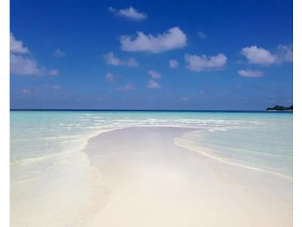 Holiday Cottage Thoddoo Maldives