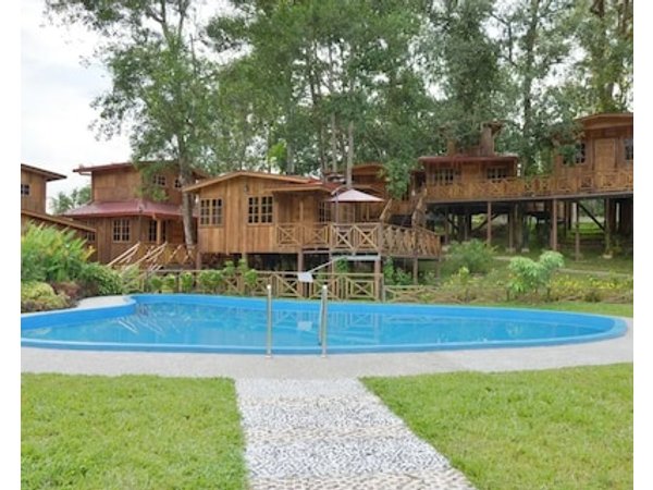 Borneo Tree House