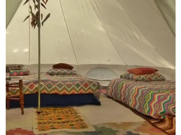 Camping De Helleborus