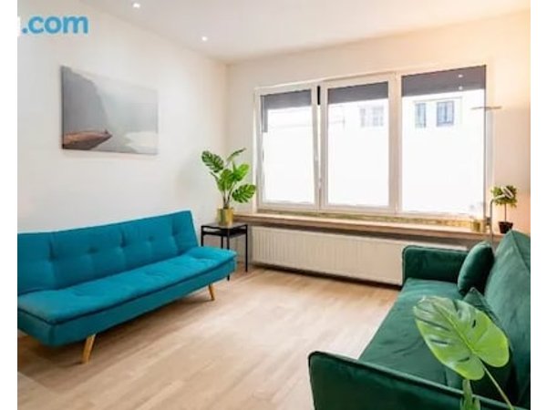 Cosy apartment in central Antwerp
