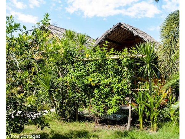 Cotton Tree Cottages