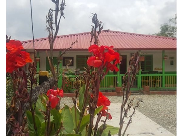 Hostal y Camping Los Girasoles