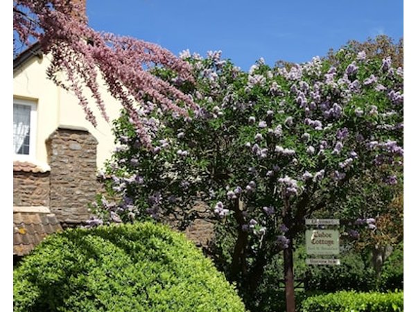 Tudor Cottage