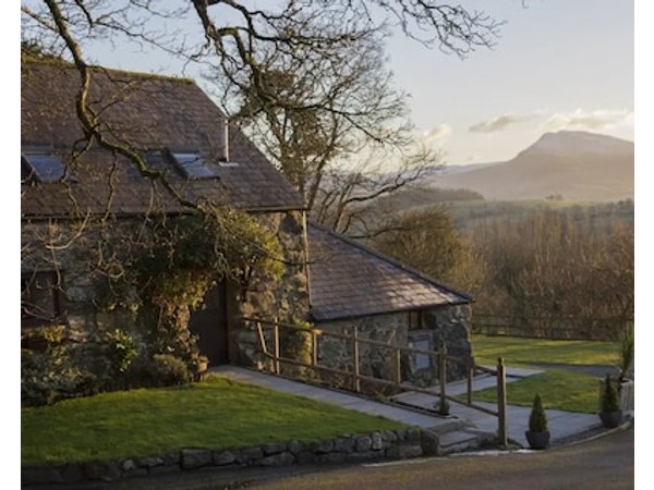 Cyffdy Cottage - Tegid