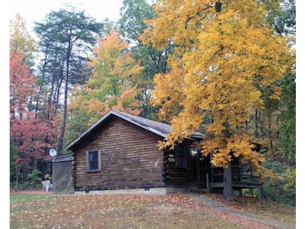 Blue Rose Cabins - Lincoln Log Cabin