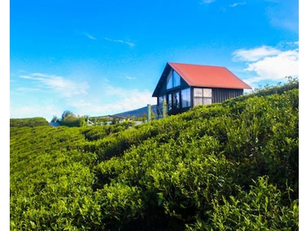 The Blackberry Cottage