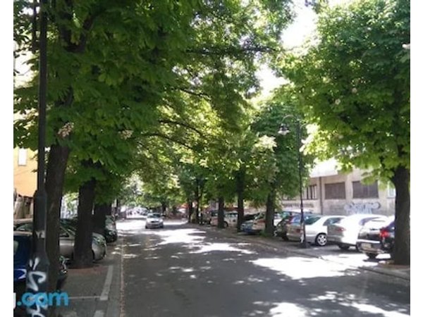 Apartment 5