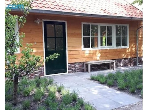 Charming Cottage Near The Rhine