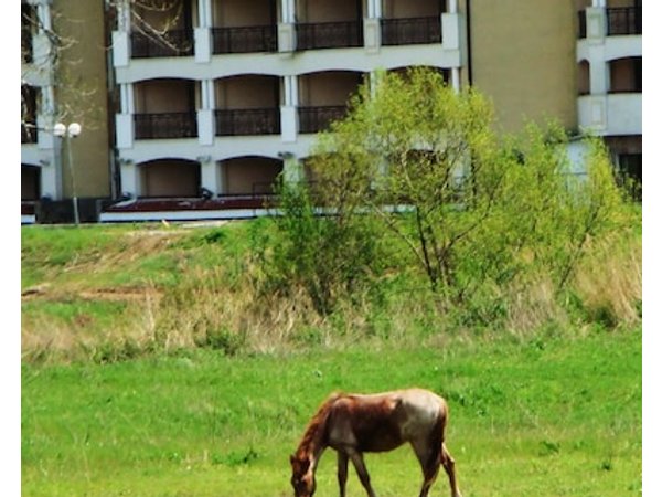 Casablanca Hotel - All Inclusive