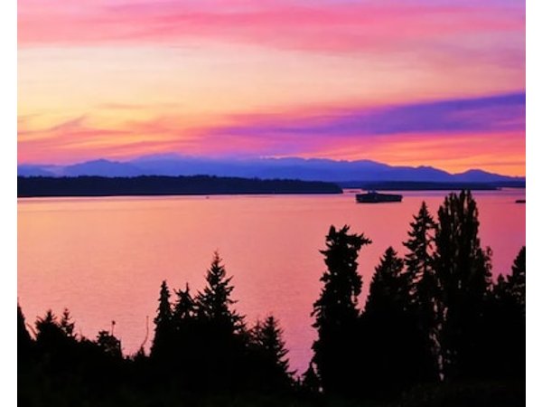 Olympic View Cottage