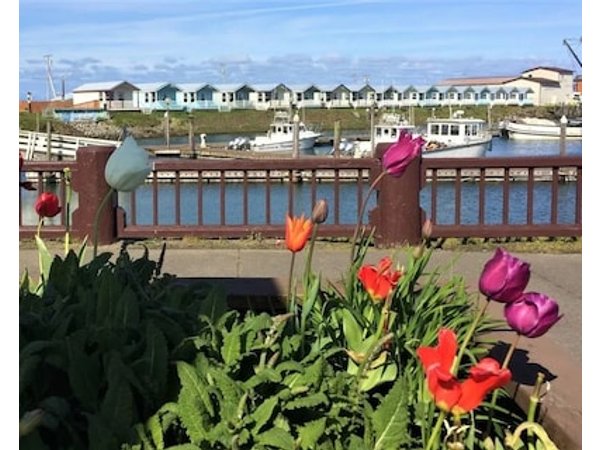 Westport Marina Cottages