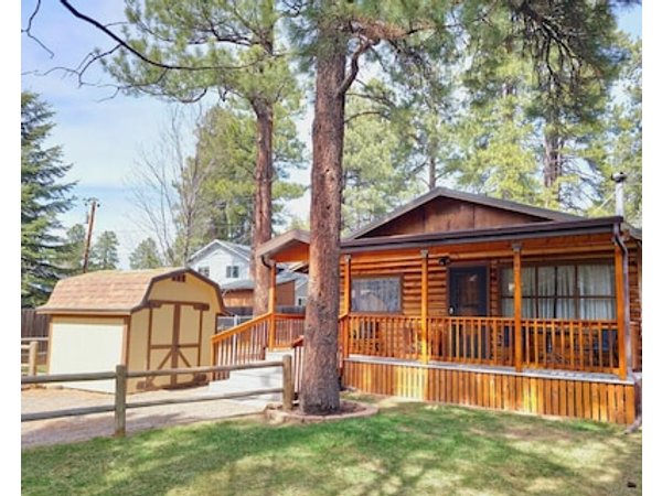 ~cozy Mountain Cabin Getaway! National Forrest!