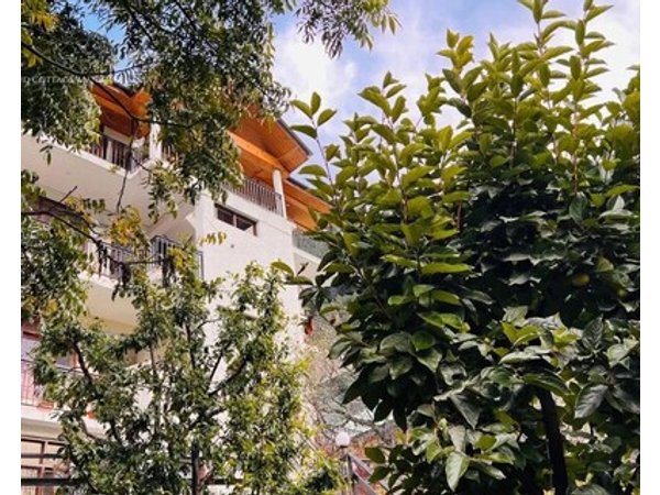 Pink Bud Cottage Manali - Nested In Nature's Lap