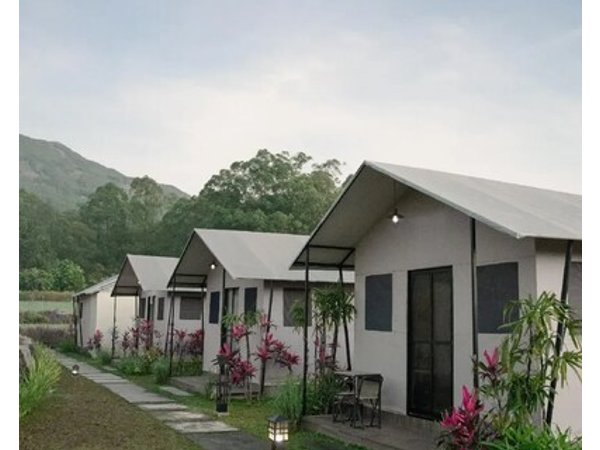 Birdnest Glamping