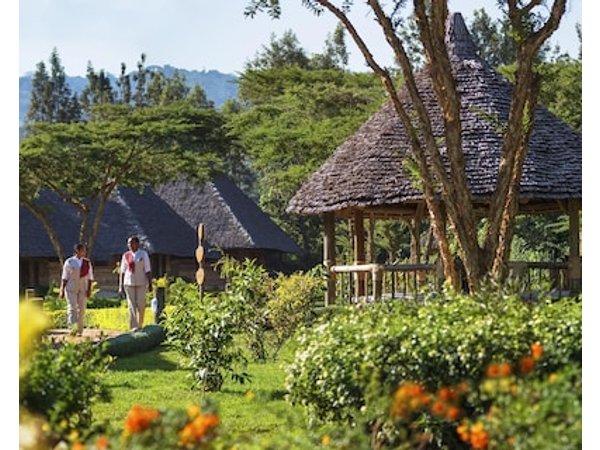 Neptune Ngorongoro Luxury Lodge - All Inclusive