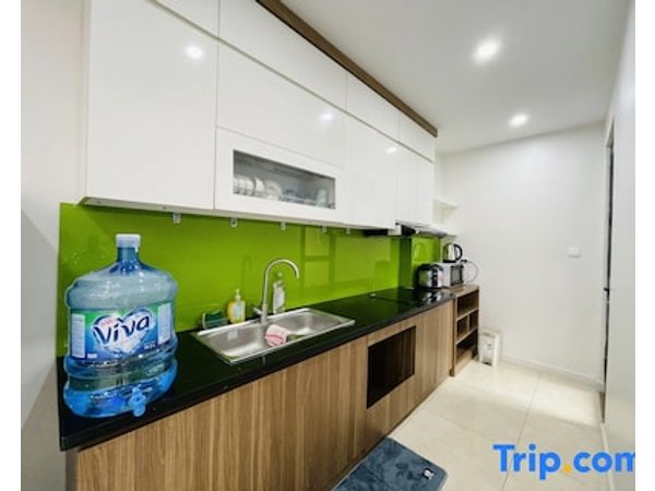 Vinhomes D'Capitale Luxury Apartment - Brian Homes