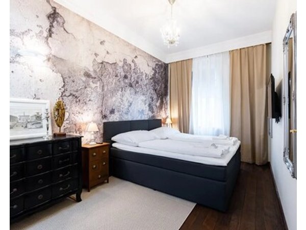 Luxury apartment in Vienna