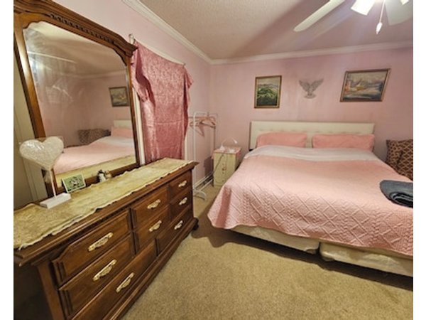 3-bedroom House In Delightful S Raleigh Wifi Ac