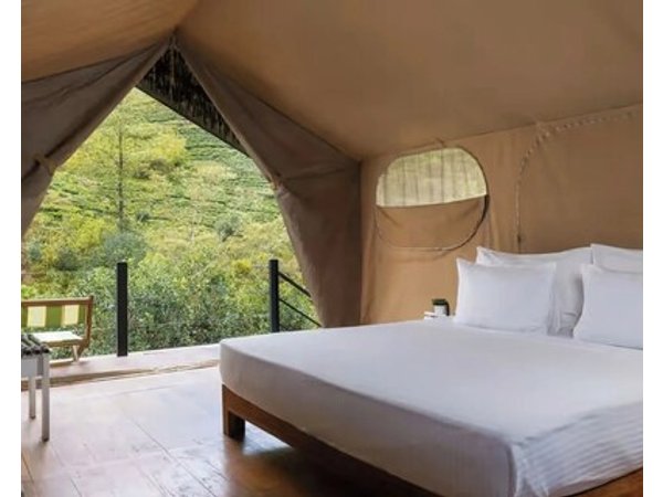 Wild Glamping Knuckles