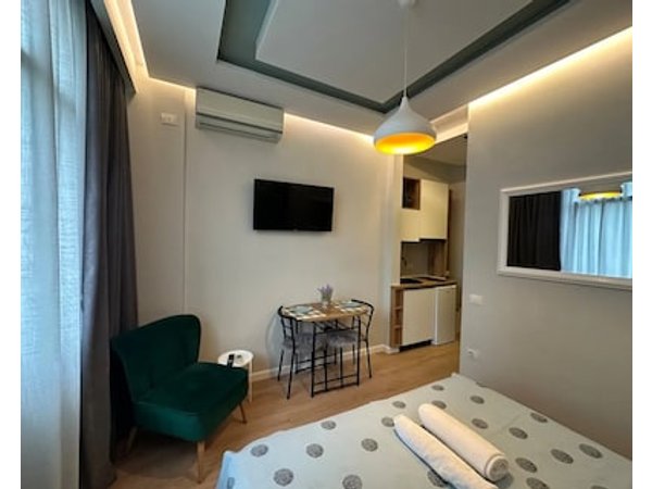 Luxury Studio Apartment