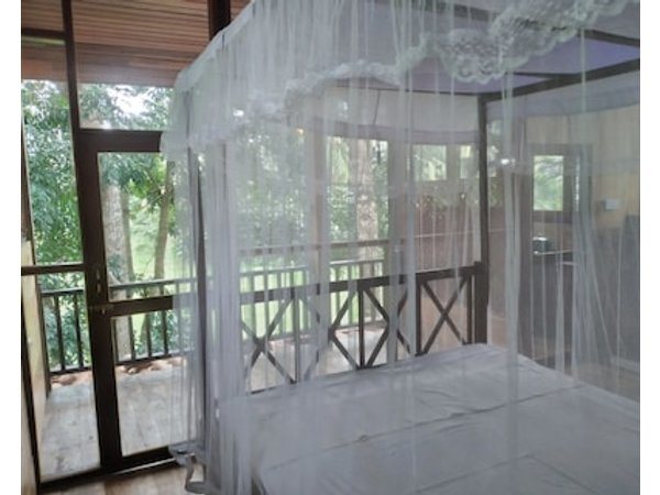 Green Herbal Ayurvedic Eco-Lodge