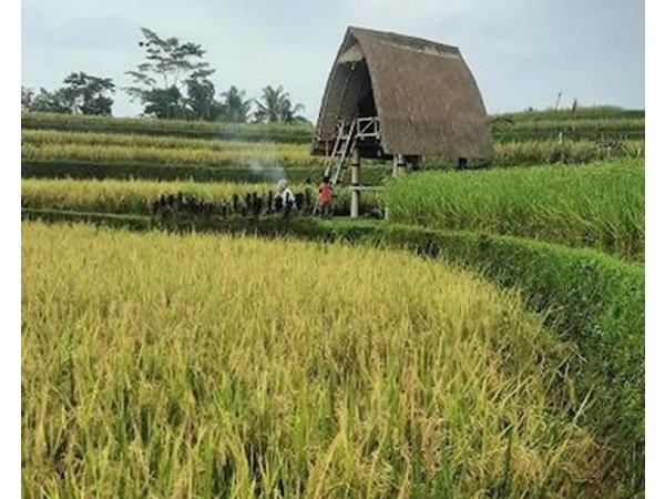 Batan Nyuh Retreat