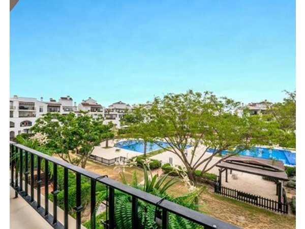Congrio - Resort Holiday Treat
