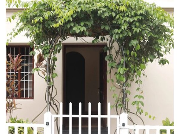 Fort Verdant Homestay
