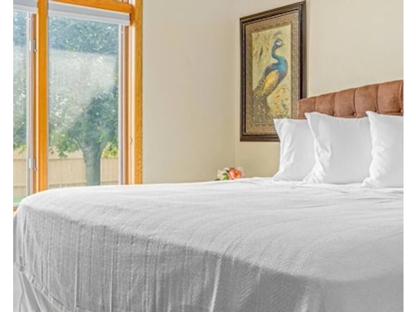 Minne-getaway: Modern Cottage Luxurious Villa Stay