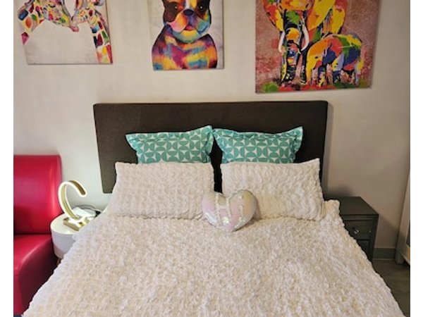 23 Studio Apartment in Mount Albert