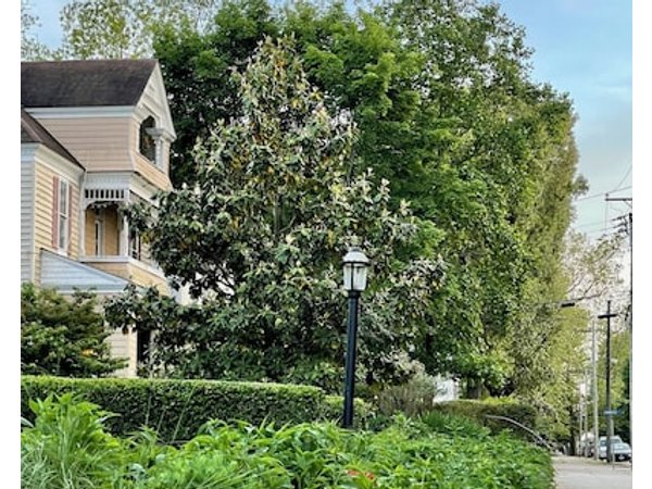 Upscale Condo In Historic Downtown Cambridge Maryland