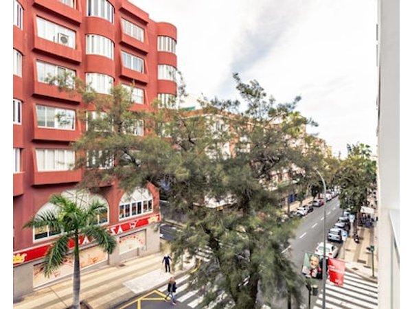 Sunny Apartment in the Heart of Santa Cruz