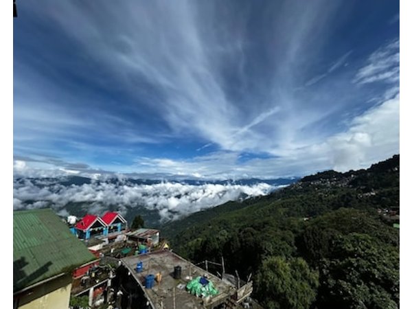 Himalayan DELEK Homestay