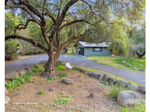 Three Oaks - Perfectly Designed Getaway!