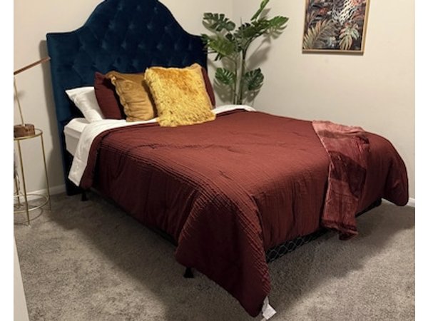 Charming Bed & Breakfast In Excellent Houston With Ac Wifi