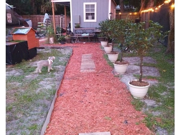 Charming Tiny Backyard Home In Orlando With Wifi And Ac. Only Animal Lovers!