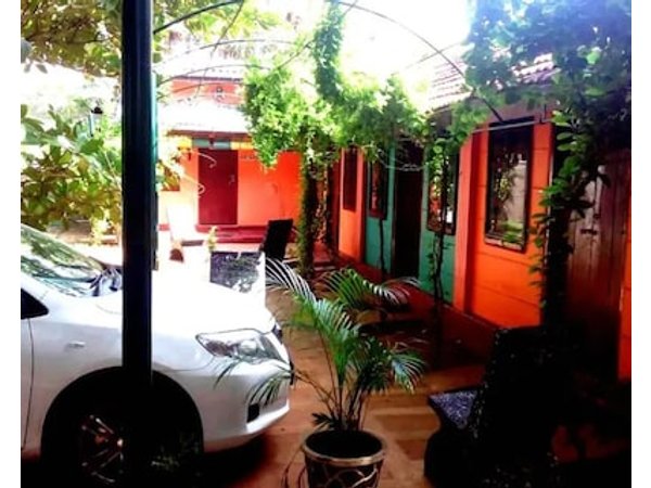 Amila Guest