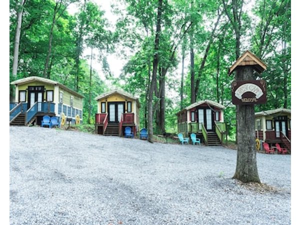 Gypsy Cottage Near the Smokies #15 Queenie