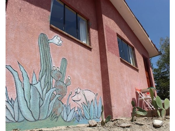 Colibri Eco Lodge & Camping