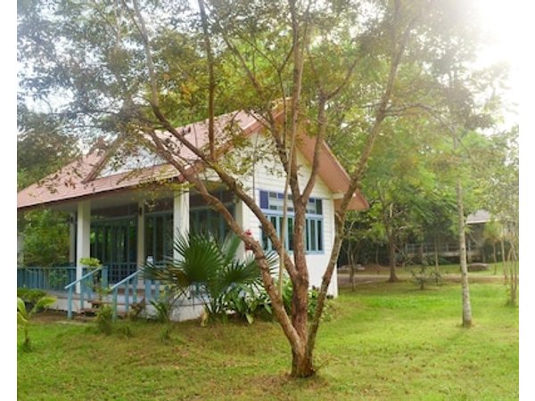 Pai Flora Resort