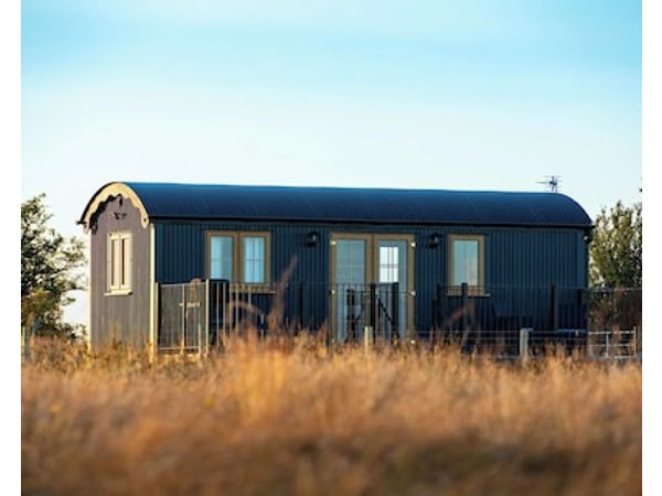 Head For The Hills Glamping Shepherd’s Hut. Pet Friendly Mountain Viewsnn