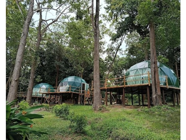 NATUR - Krabi Campsite Glamping & Camping